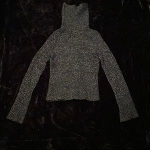 Express Turtle Neck Sweater